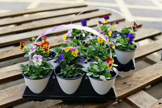 Thermoformbare Blumentöpfe, runde Anzuchttöpfe, schwarzer Kunststoff-Gartenpflanzer